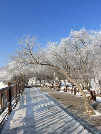 黑龍江除了雪鄉的雪很美，原來這裡也不錯
