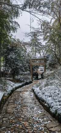 徒步杭州最美森林古道：徑山古道