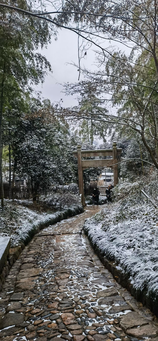 徒步杭州最美森林古道：徑山古道