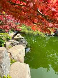 陝西西安唐苑新中式打卡地園林公園