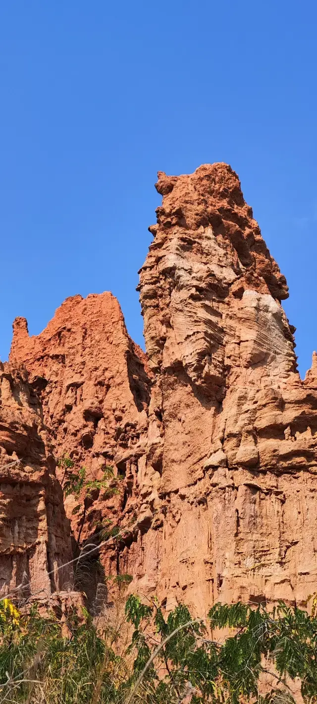 Yuanmou Earth Forest