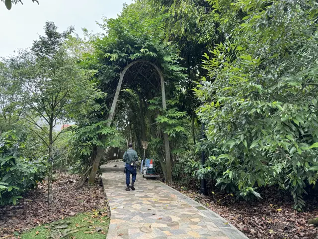 싱가포르 식물원을 완전히 탐험하지 못했다