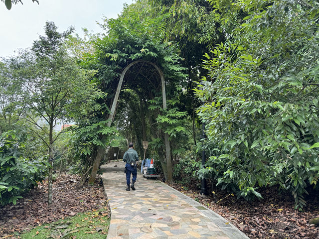 新加坡植物園不完全探索