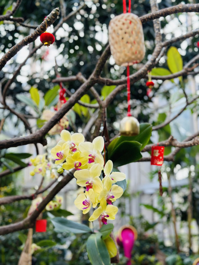 上海植物園溫室展