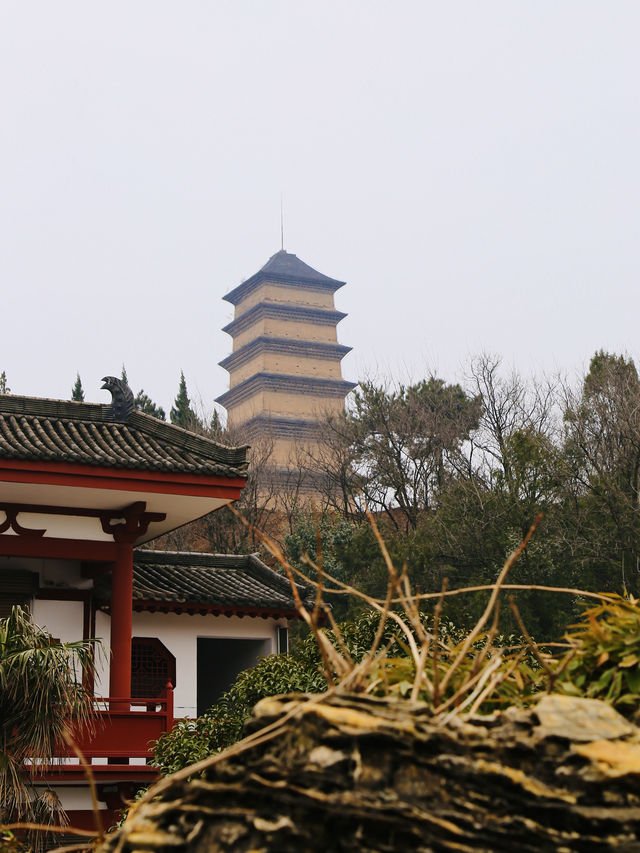 隱秘又愜意！西安小眾週末賞花隱居路線！