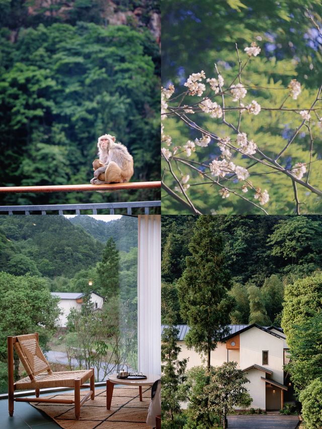 重慶周邊！依山而建、隱於四面山的桃源秘境