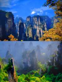 中國第一個國家森林公園