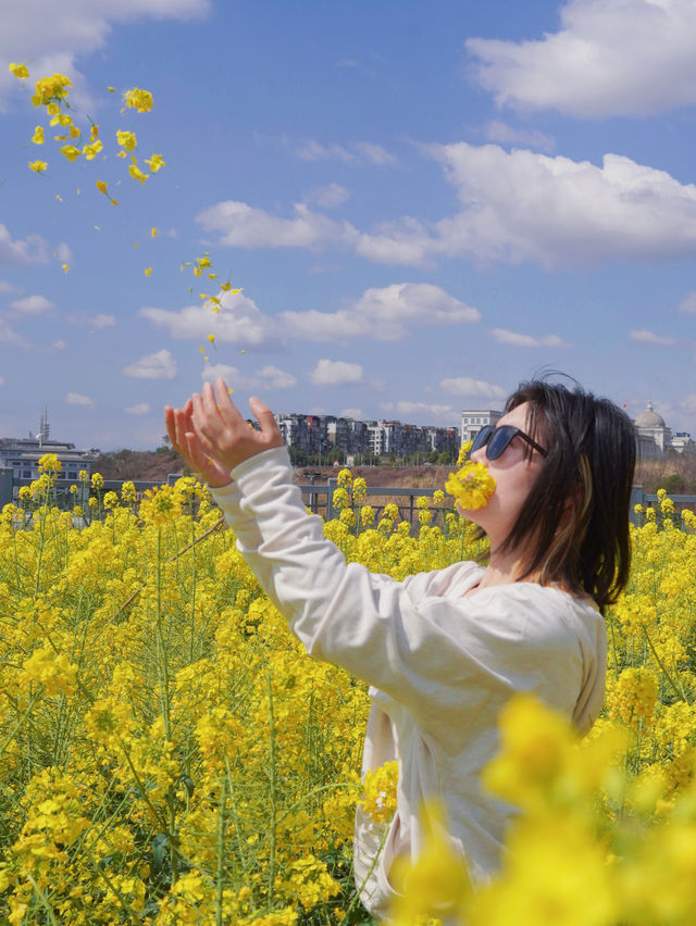 春遊賞花記 | 走進油畫般的春天裡