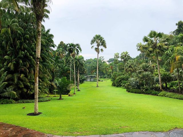 新加坡植物園