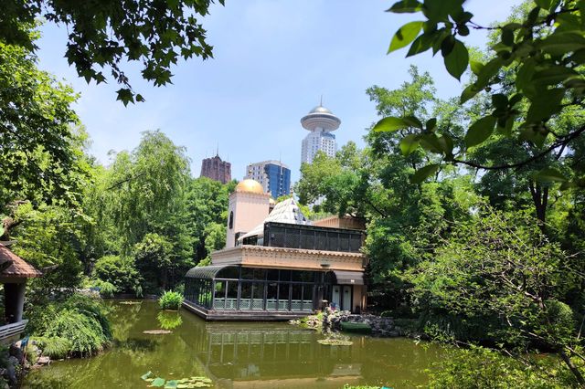 上海人民公園，傳說中的相親角呢？