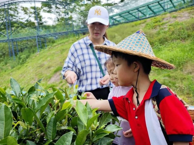 非遺茶文化親子研學｜瓷天下海絲谷