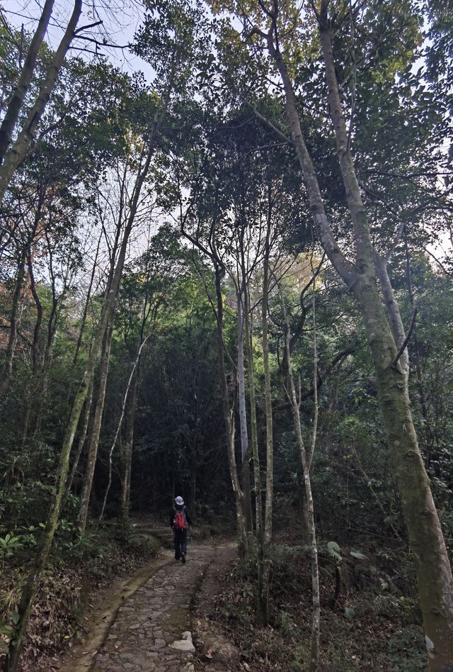 冬日徒步雲髻山