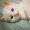 Joyful_Caleb_27