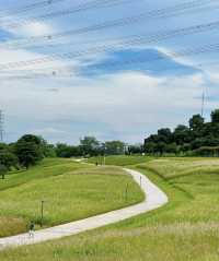 天啦噜!!又到了這個公園最美的季節別錯過來到這裡