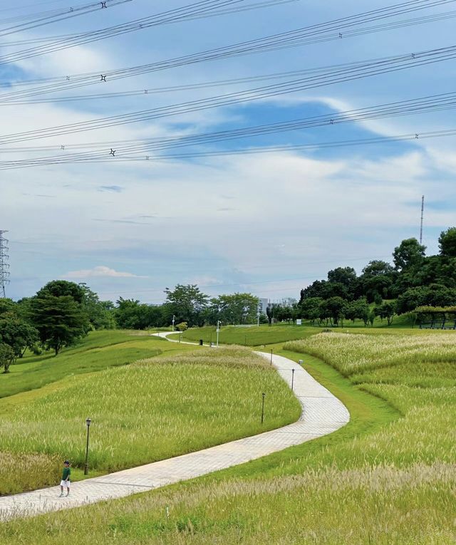 天啦噜!!又到了這個公園最美的季節別錯過來到這裡 天啦噜!!又到了這個公園最美的季節別錯過來到這裡
