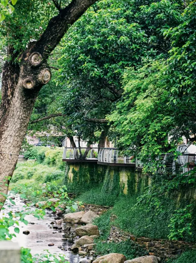 I've discovered the ultimate 'slacking off' gem of a town in Shenzhen