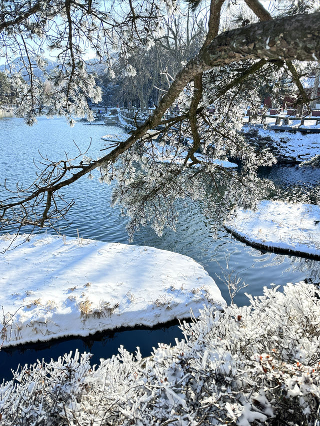 2024年庐山的第一場雪！