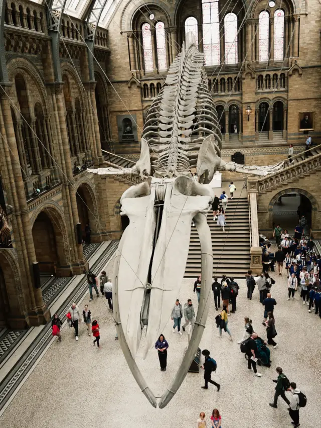 The Natural History Museum is a must-visit when touring London