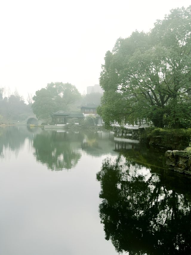 賞梅季節｜太倉南園市區寶藏園林