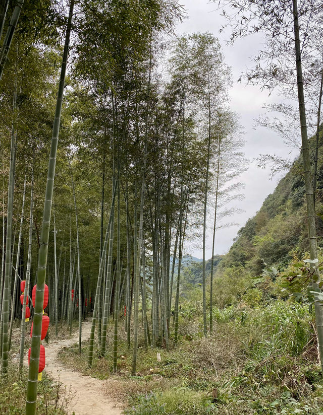歷溪古村「戲水、喝茶、聽故事」