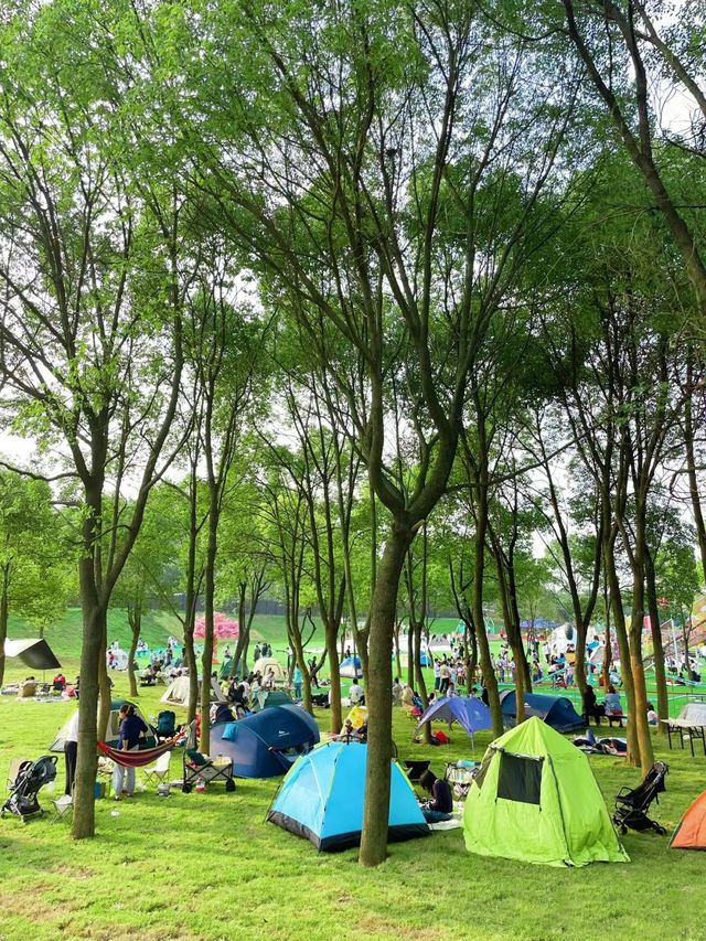 武漢郊區童話世界般的溜娃露營