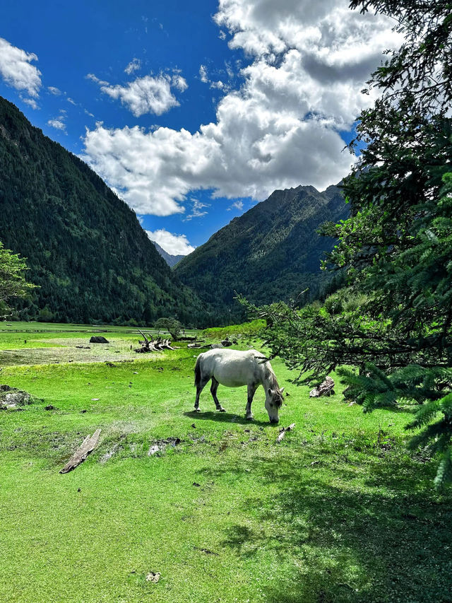 川西的月亮湖，堪稱國內浪漫露營天花板