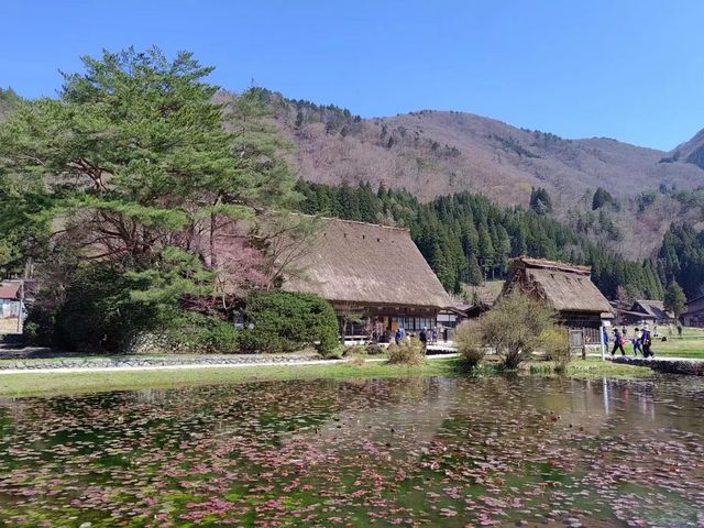 美麗的春日風景