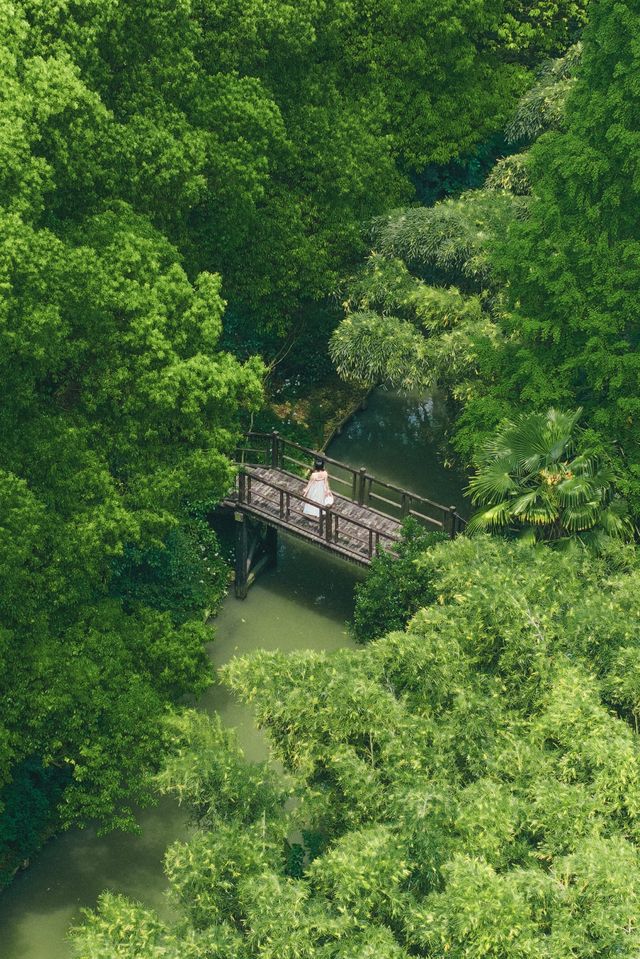 春日踏青｜上海自駕1h，這片綠野秘境藏不住了…