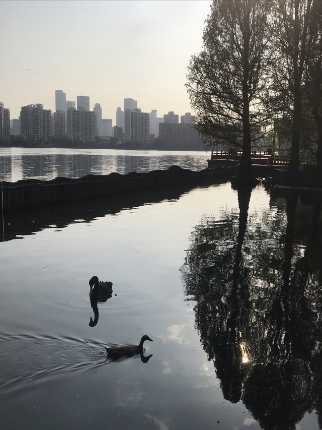 莫愁湖：江南第一名湖