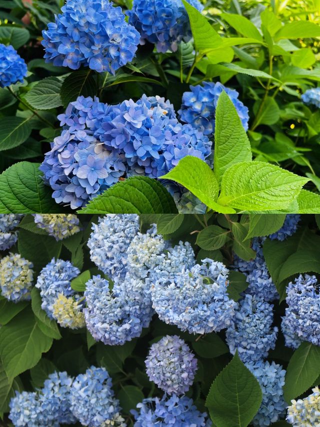 五月無盡夏