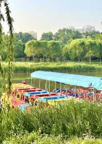 初夏的龙潭中湖公園 北京