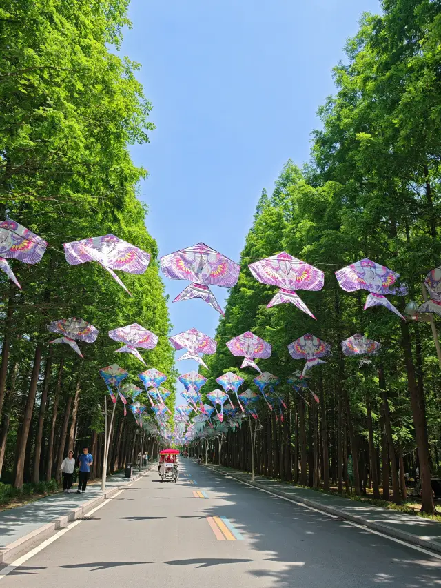 주말 가족 여행을 떠나다