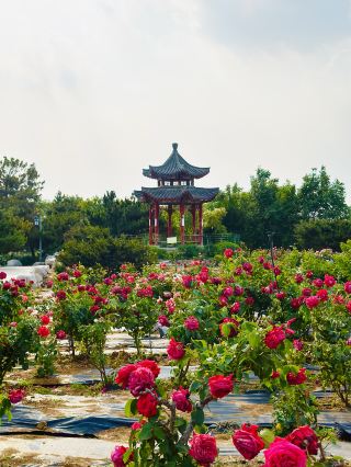 Things to Do in Yantai in 2024 - Top Attractions, Local Food, Hotels ...