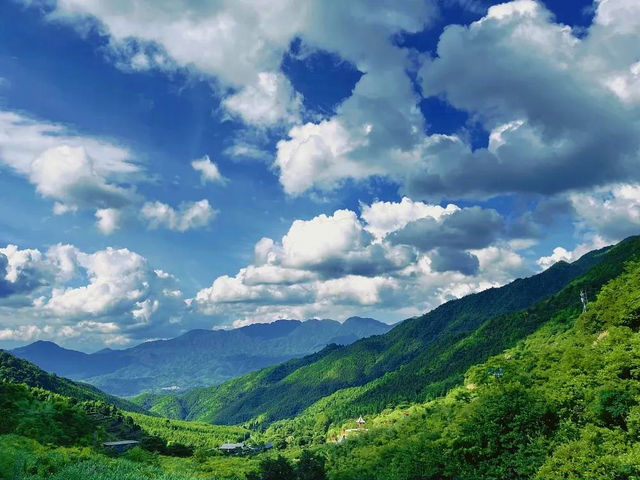 打卡皇后山一感受茶梯田風光。