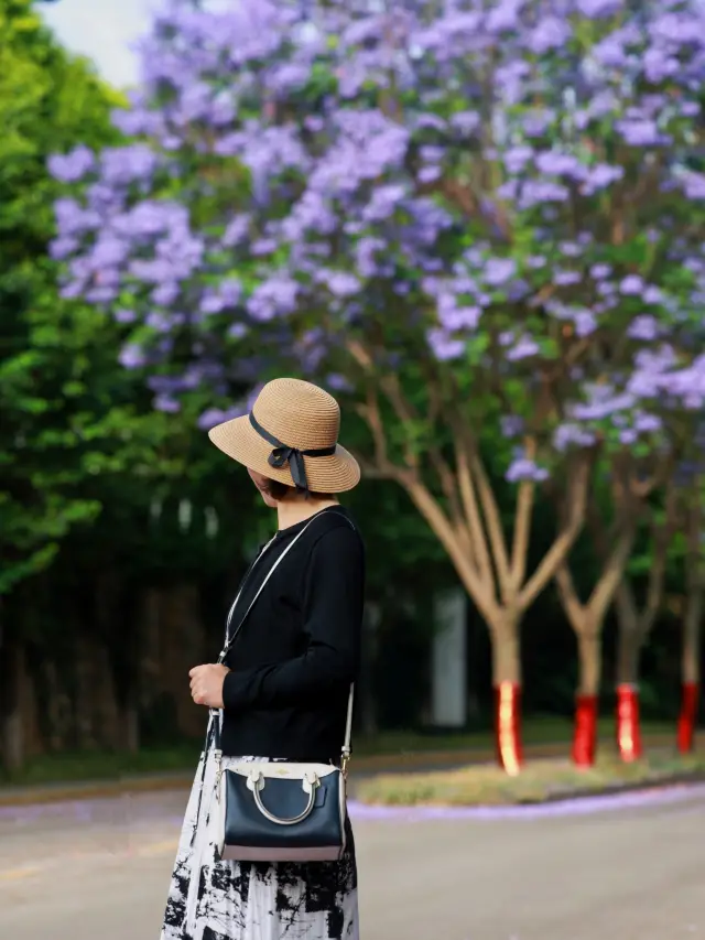 Dali Jacaranda｜Một địa điểm bí mật đang vẫy gọi, một nơi tuyệt vời để chụp ảnh du lịch!