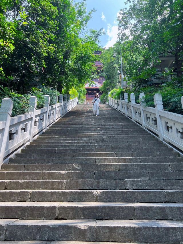去了99次才寫的東湖磨山攻略徒步+遊玩