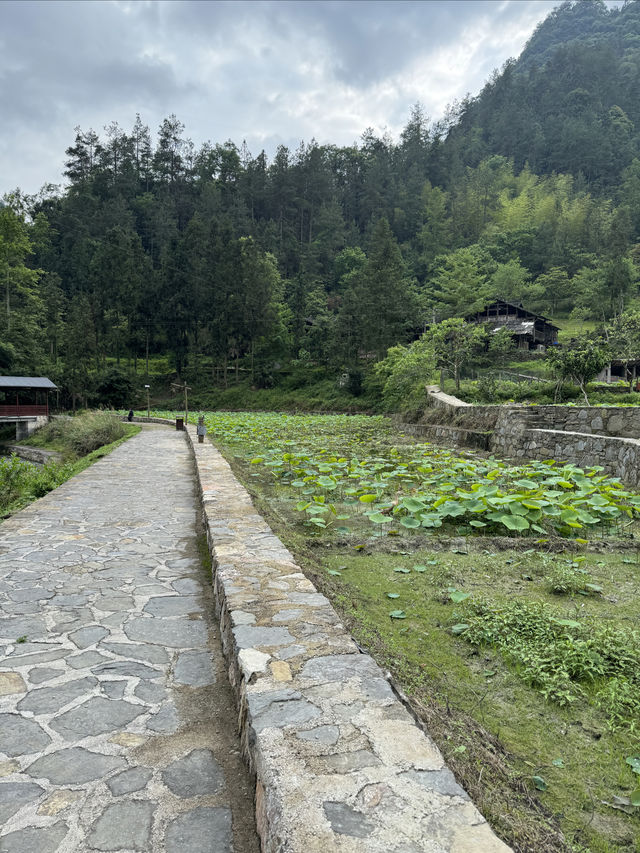 土家十三寨景區