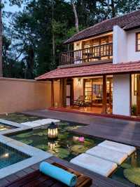 🌟 Coorg's Hidden Gems: Luxe Stays & Scenic Bliss 🌿✨