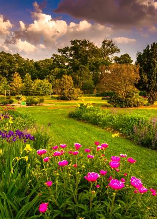 Auckland Eden Garden - A hidden gem among the world's most beautiful gardens!
