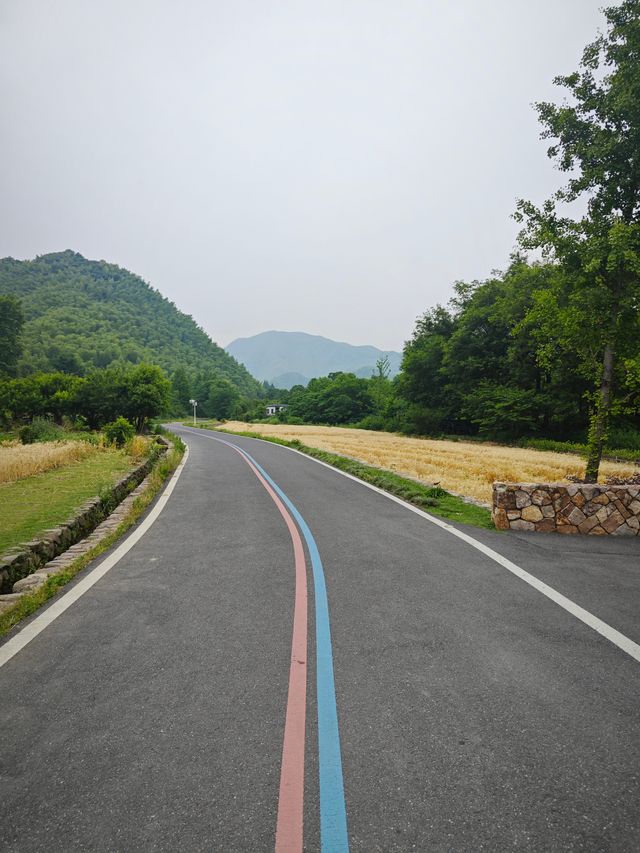 安吉余村一遊