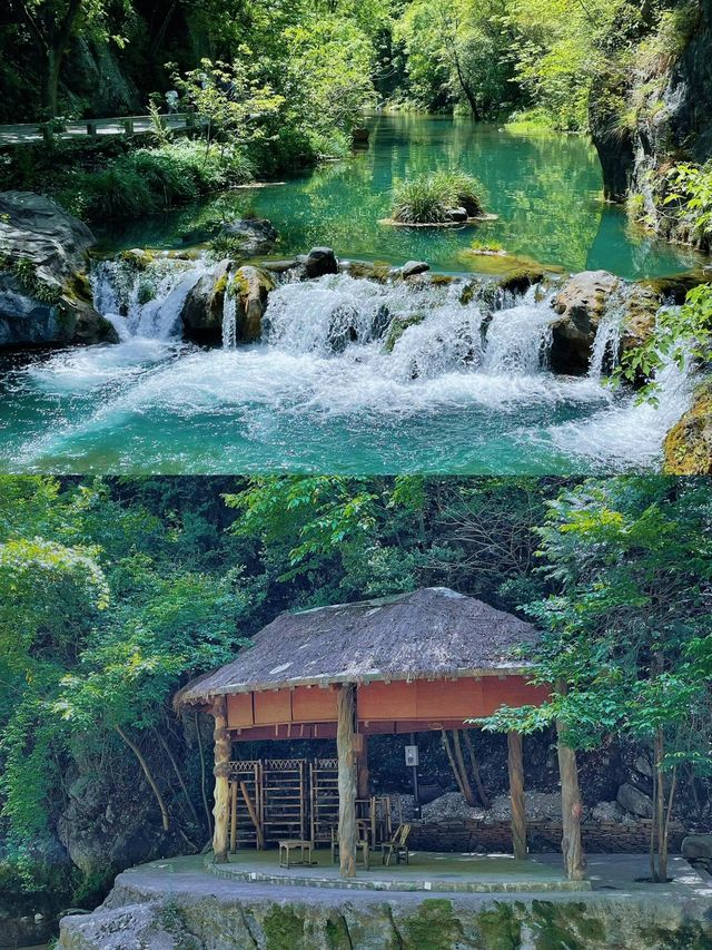 金絲大峽谷也太美了吧！景色隨手一拍都是壁紙