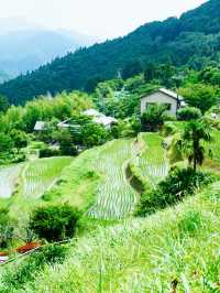打開日本新世界日本的小眾玩法