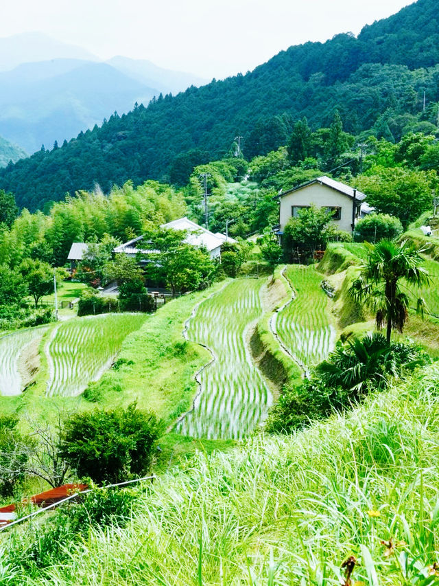 打開日本新世界日本的小眾玩法