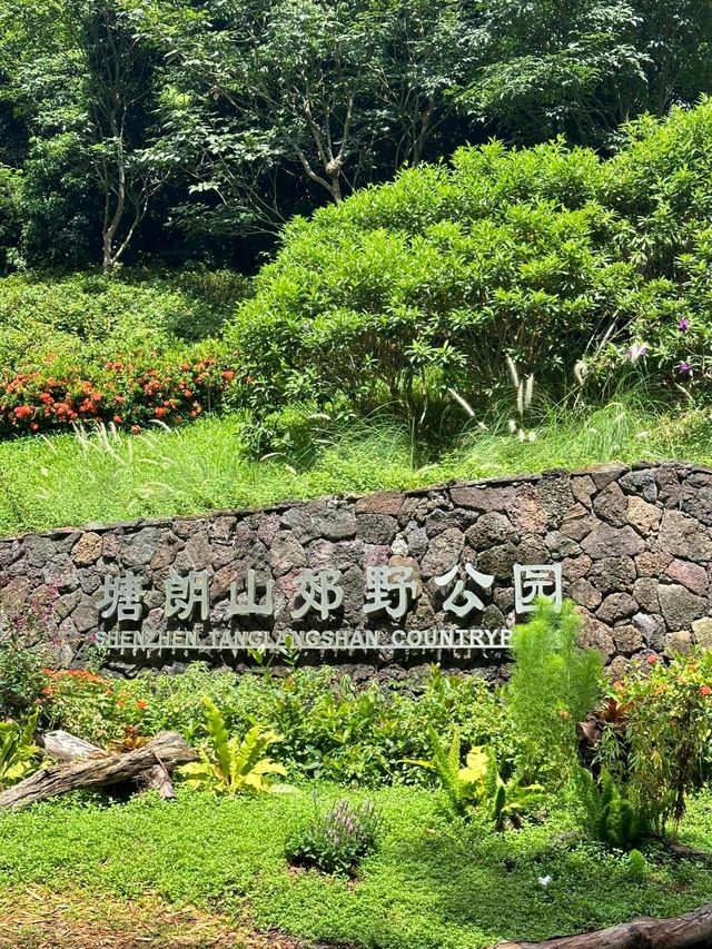 塘朗山的風景真的太好了叭！