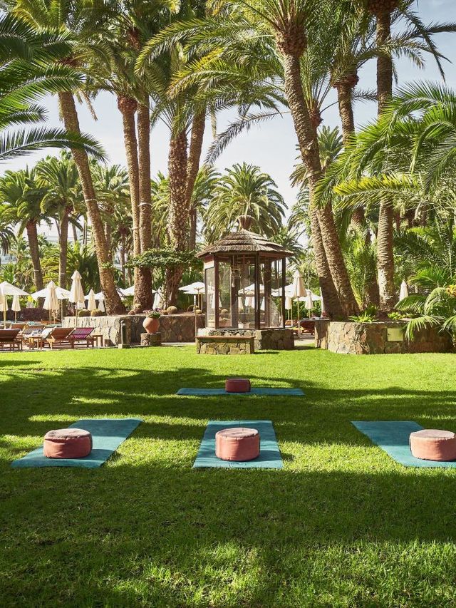 🌴🏖️ Maspalomas' Finest: Seaside Palm Beach Picks! 🛎️✨