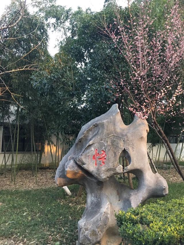 探訪蘇州寒山寺，古韻禪意一網打盡！