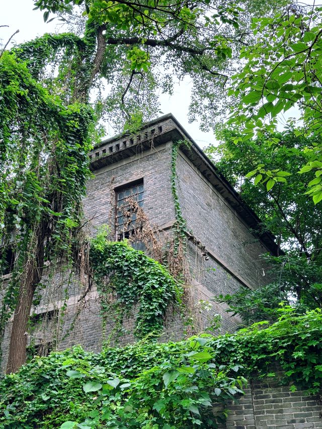 重慶 | 陳電村