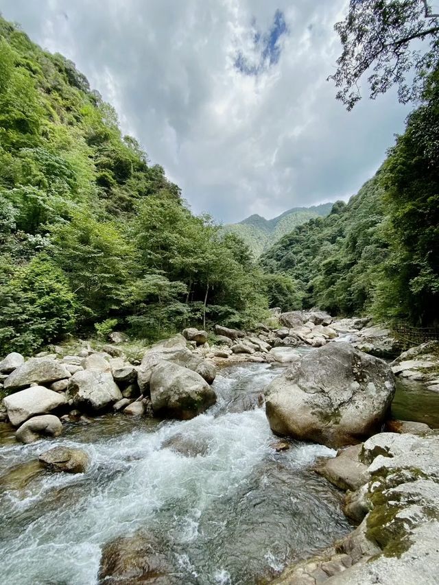 长沙周邊遊 | 株洲神龍谷森林公園