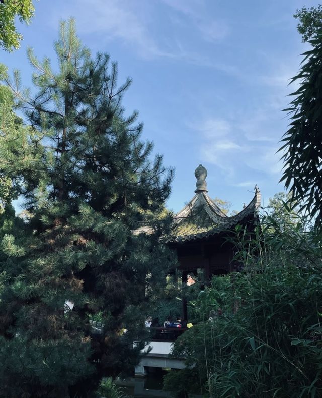 It seems as if I haven't left the country, as I find myself in a Chinese garden in Frankfurt. I am bewildered. 😵