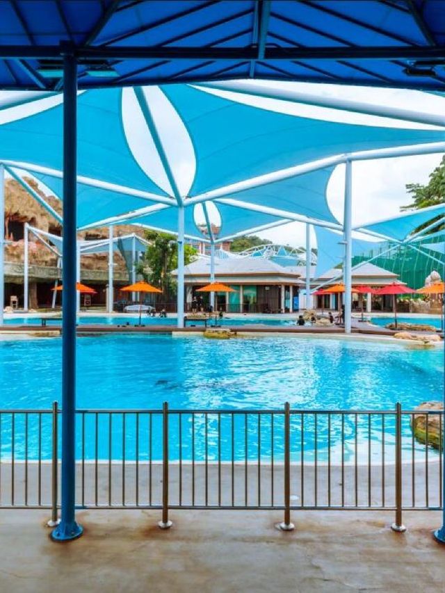 🌴🏖️ Sun, Sand & Splashes in Singapore 🌅🎢